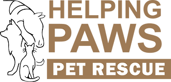 Helping store paws rescue