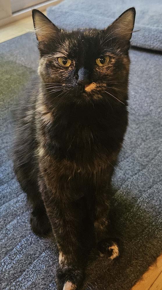 Kiki Kiki